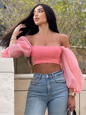 Zara Coral Pink Off-Shoulder Organza Knit Sleeve Crop Top